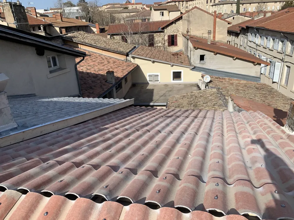 Couvreur près de Saint-Vallier 